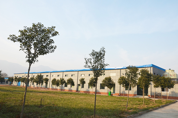 环境展示
